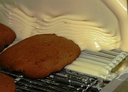 IMG_4806