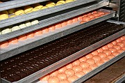 IMG_4824