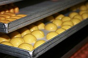 IMG_4826