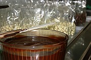 IMG_4836