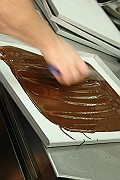 IMG_4845