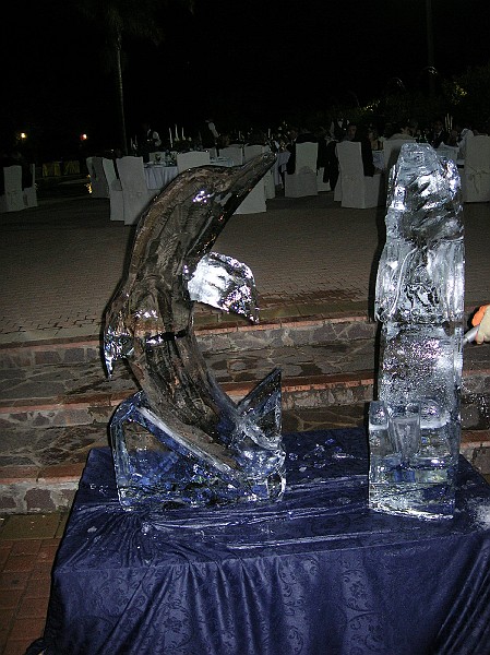DSCN6679.JPG