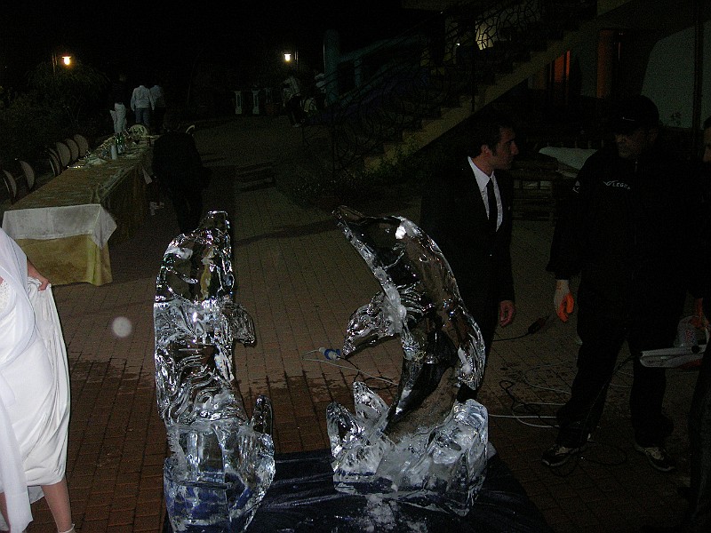 DSCN6683.JPG