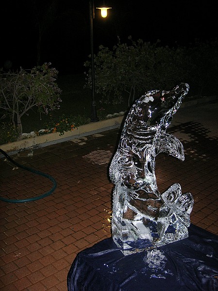 DSCN6692.JPG