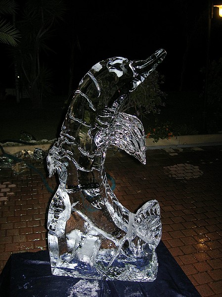 DSCN6693.JPG