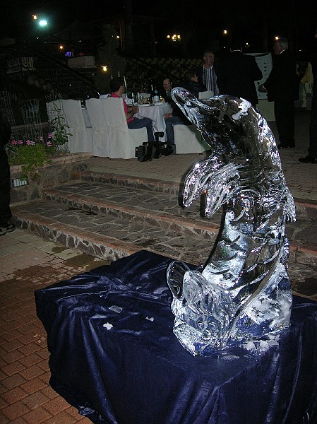 DSCN6695.JPG