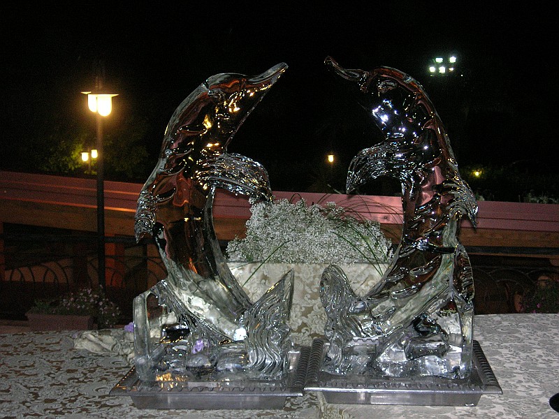 DSCN6706.JPG