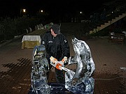 DSCN6640