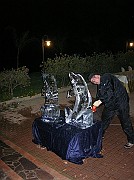 DSCN6653