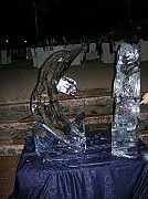 DSCN6679