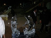 DSCN6683