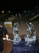 DSCN6690
