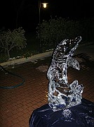 DSCN6692