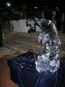 DSCN6695