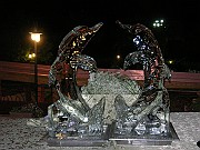 DSCN6706
