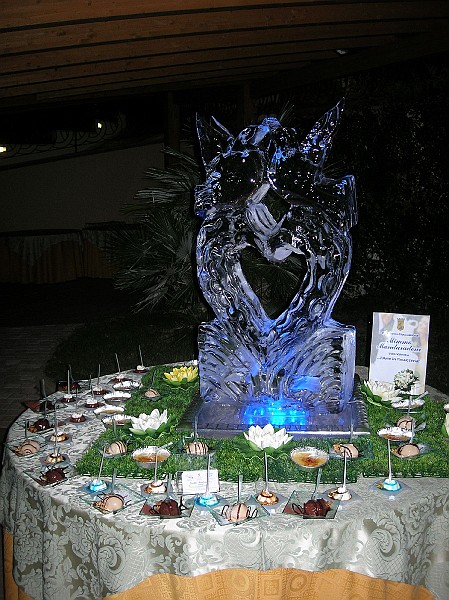 DSCN6739.JPG