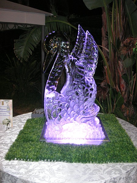 DSCN6764.JPG