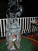DSCN5039