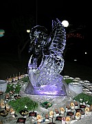 DSCN6827