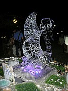 DSCN6849