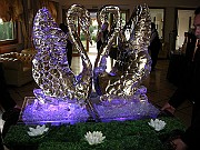 DSCN6852
