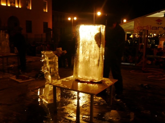 P1020341.JPG