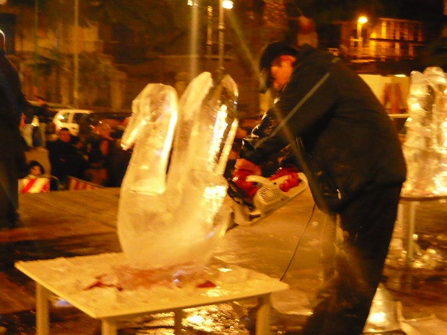 P1020357.JPG
