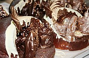 IMG_4786
