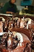 IMG_4822