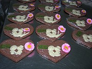 DSCN4233