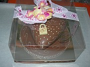 DSCN4243