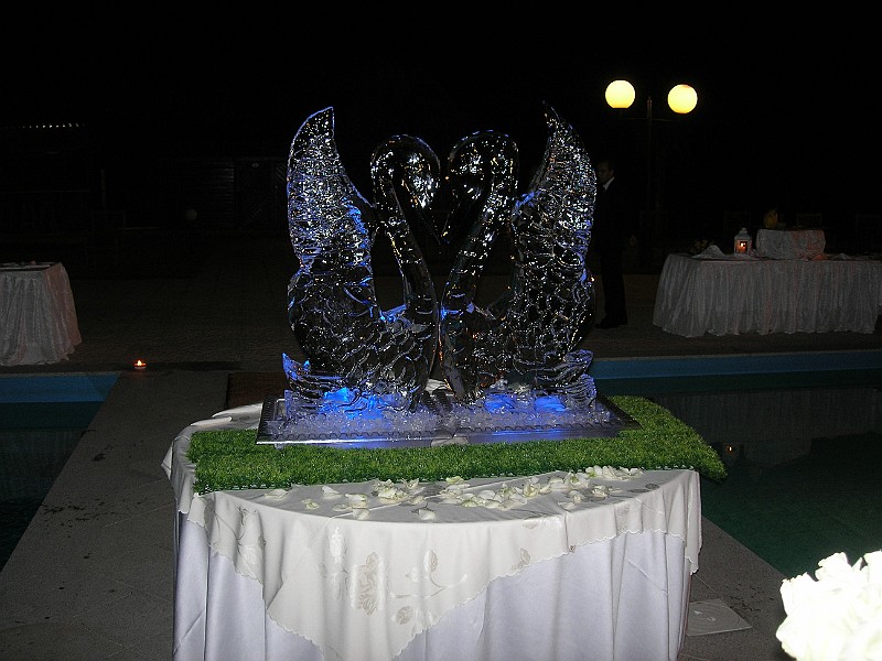 DSCN6607.JPG