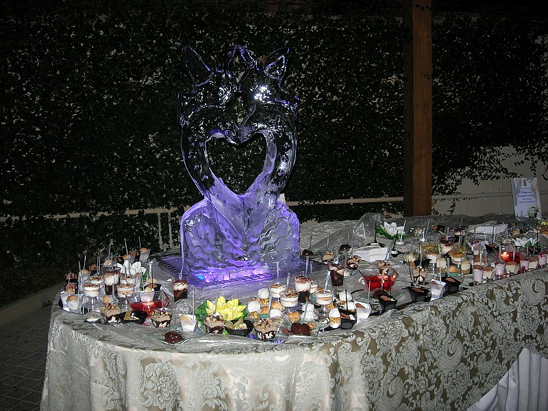 DSCN6795.JPG