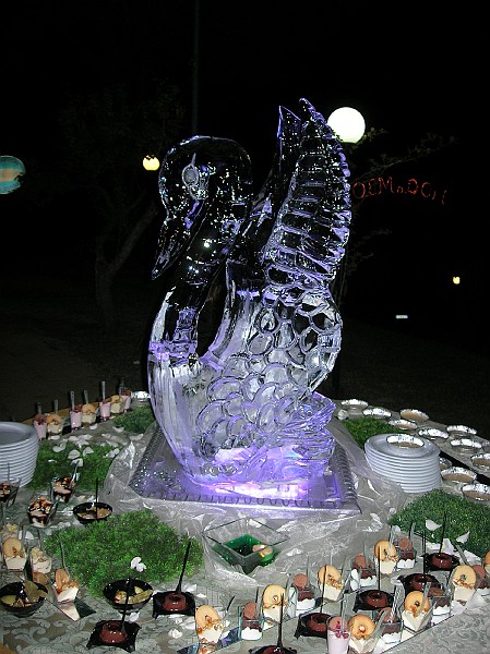 DSCN6827.JPG