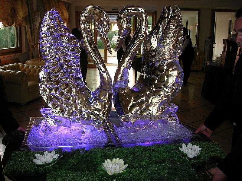 DSCN6852.JPG