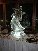 DSCN4166