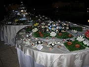 DSCN6597