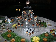 DSCN6598