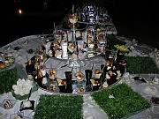 DSCN6604