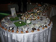 DSCN6606