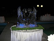 DSCN6607