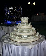DSCN6608
