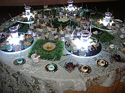 DSCN6733