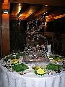 DSCN6749