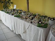 DSCN6754