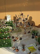 DSCN6772