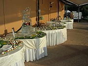 DSCN6776