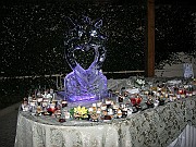 DSCN6795
