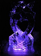 DSCN6812