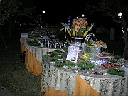 DSCN6842